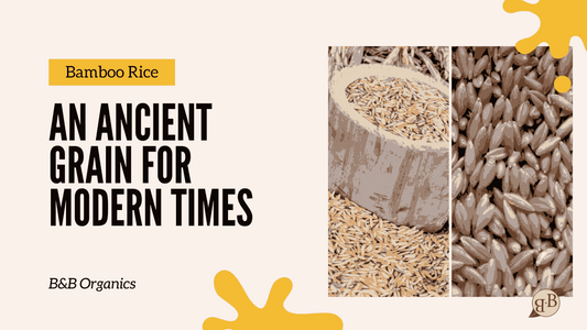 Bamboo Rice: An Ancient Grain for Modern Times
