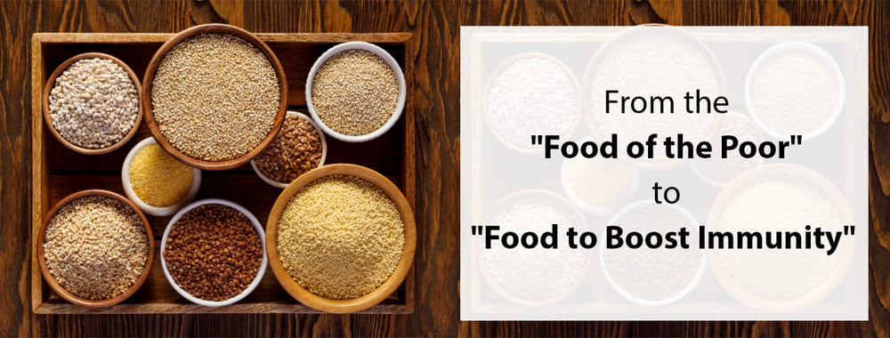Millets: From the “Food of the Poor” to “Food to Boost Immunity”