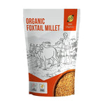 foxtail millet