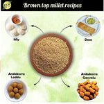 Brown Top Millet